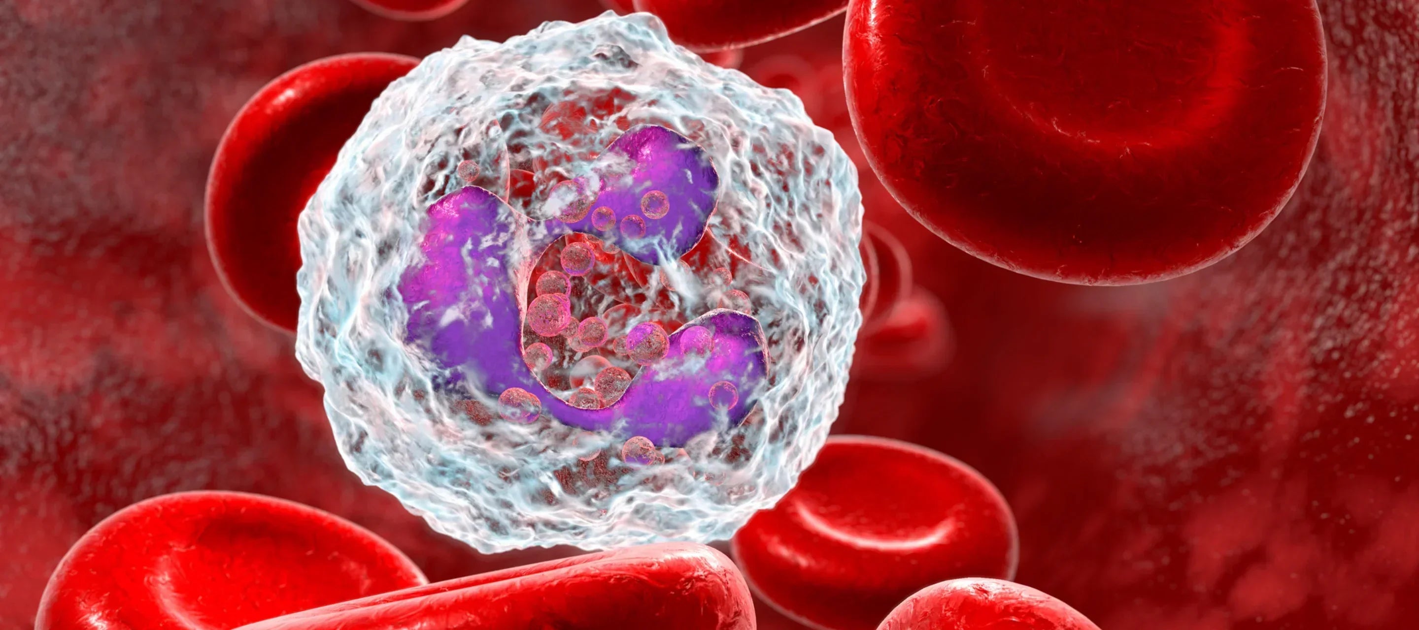 How 70% of Your Immune System Lives in Your Gut